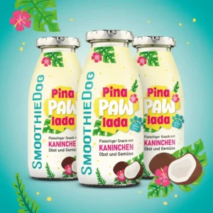 Smoothie pour chien - Pinapawlada